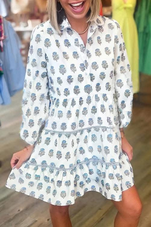 Long Sleeve Printed Dress (Preorder)